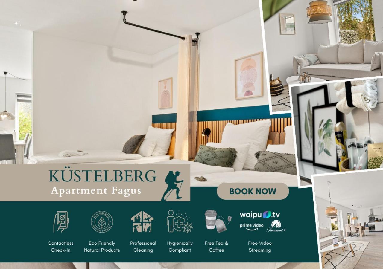 Greenhouse Living Apartment Fagus Mit Terrasse Und Feuerstelle - 6 Minuten Nach Winterberg - 4 Minuten Zur Ruhrquelle - Wandern - Mountainbike Fahren - Reisen Mit Hund & Natur Geniessen Medebach Eksteriør billede